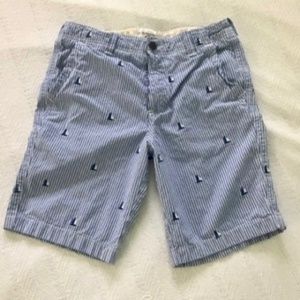 Abercrombie & Fitch Blue & White Striped Shorts